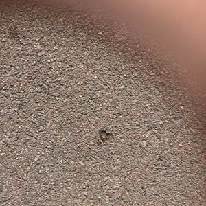 Meet your Posher, Janice